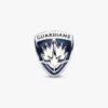 ENDVERKAUF – Marvel Guardians of the Galaxy Rocket Raccoon & Groot Charm – Sterlingsilber