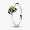 April-Geburtsstein Eternity Circle Ring – Sterlingsilber
