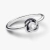 April-Geburtsstein Eternity Circle Ring – Sterlingsilber