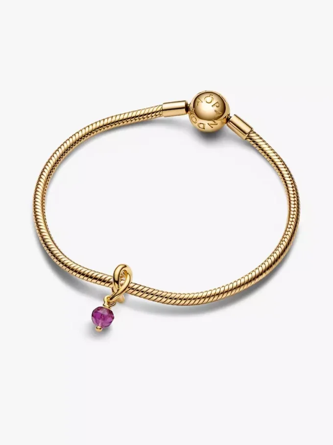 Facettierter, violetter Eternity-Circle-Dangle Charm, 14 Karat vergoldet Facettierter, violetter Eternity-Circle-Dangle Charm, 14 Karat vergoldet