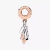 Familienbuchstaben-Dangle Charm aus Sterlingsilber, 14 Karat Roségold-Beschichtung Familienbuchstaben-Dangle Charm aus Sterlingsilber, 14 Karat Roségold-Beschichtung