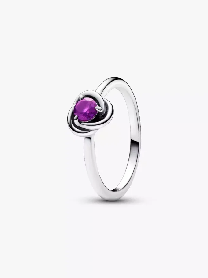 Februar: Lila Eternity Circle Ring aus Sterlingsilber Februar: Lila Eternity Circle Ring aus Sterlingsilber