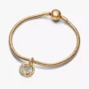 Fische-Sternzeichen-Dangle Charm, 14-karätige Vergoldung Fische-Sternzeichen-Dangle Charm, 14-karätige Vergoldung