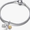 Freundschafts-Dangle Charm – Sterlingsilber, 14-karätige Vergoldung