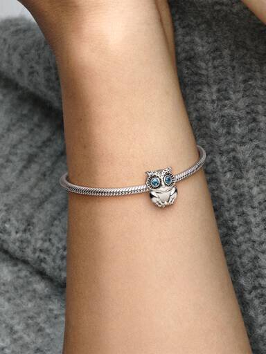Funkelnder Eulen-Charm – Sterlingsilber Funkelnder Eulen-Charm – Sterlingsilber