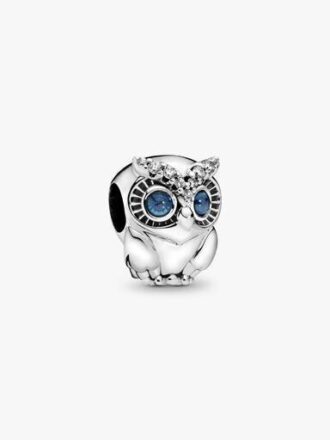Funkelnder Eulen-Charm – Sterlingsilber