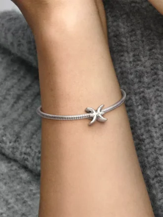 Funkelnder Fisch-Sternzeichen-Charm aus Sterlingsilber