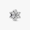 Funkelnder Herbarium-Cluster-Charm – Sterlingsilber Funkelnder Herbarium-Cluster-Charm – Sterlingsilber