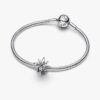 Funkelnder Nordstern-Charm – Sterlingsilber Funkelnder Nordstern-Charm – Sterlingsilber