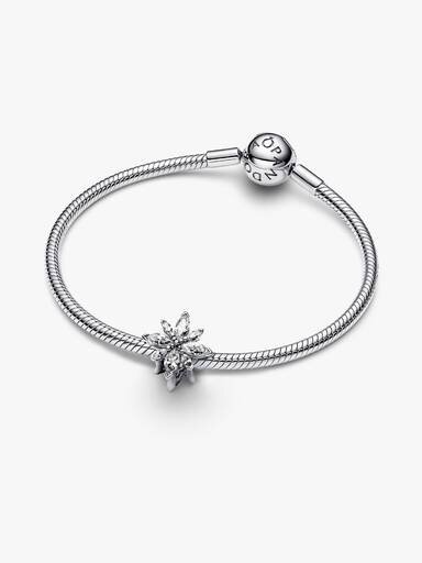 Funkelnder Nordstern-Charm – Sterlingsilber Funkelnder Nordstern-Charm – Sterlingsilber