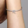 Funkelnder Skorpion-Sternzeichen-Charm aus Sterlingsilber Funkelnder Skorpion-Sternzeichen-Charm aus Sterlingsilber