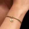 Haken-Dangle Charm, 14-karätig vergoldet Haken-Dangle Charm, 14-karätig vergoldet