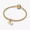 Haken-Dangle Charm, 14-karätig vergoldet Haken-Dangle Charm, 14-karätig vergoldet