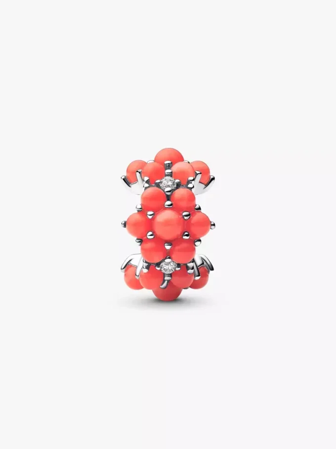 Korallenfarbener Ozean-Charm aus Sterlingsilber Korallenfarbener Ozean-Charm aus Sterlingsilber