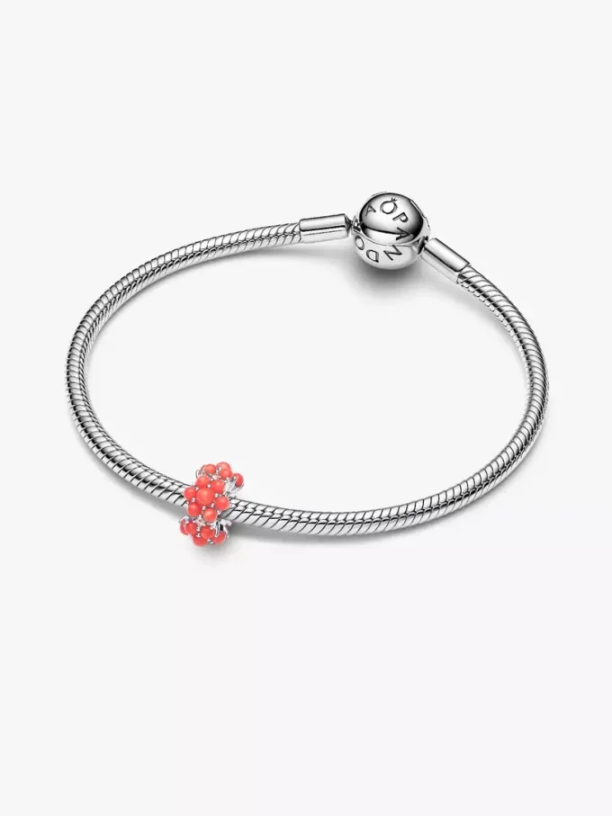 Korallenfarbener Ozean-Charm aus Sterlingsilber Korallenfarbener Ozean-Charm aus Sterlingsilber