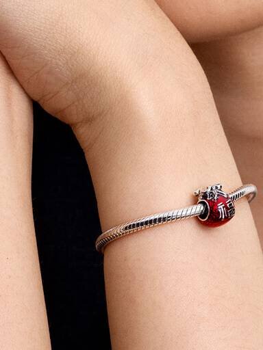 Lucky Bag Charm – Sterlingsilber Lucky Bag Charm – Sterlingsilber