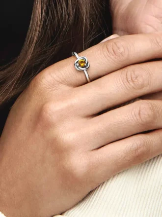 November Honey Eternity Circle Ring aus Sterlingsilber