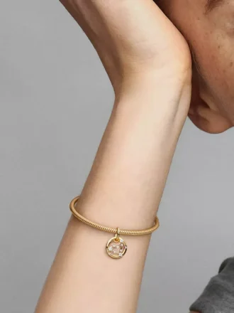 Stechfisch-Sternzeichen-Dangle Charm, 14-karätig vergoldet